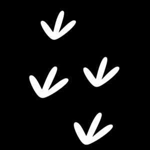 Traditional Aboriginal art symbol representing emu tracks shown as three-pronged bird footprints indicating movement across Country.