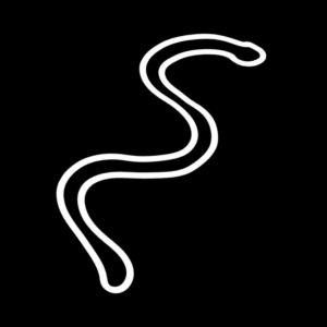 Traditional Aboriginal art symbol representing a snake shown as a winding sinuous line moving across Country.