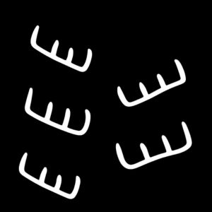 Traditional Aboriginal art symbol representing dingo tracks shown as clawed paw-like footprints moving across Country.