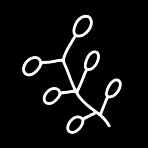 Traditional Aboriginal art symbol representing wild yam plants shown as branching lines with rounded bulb-like ends.