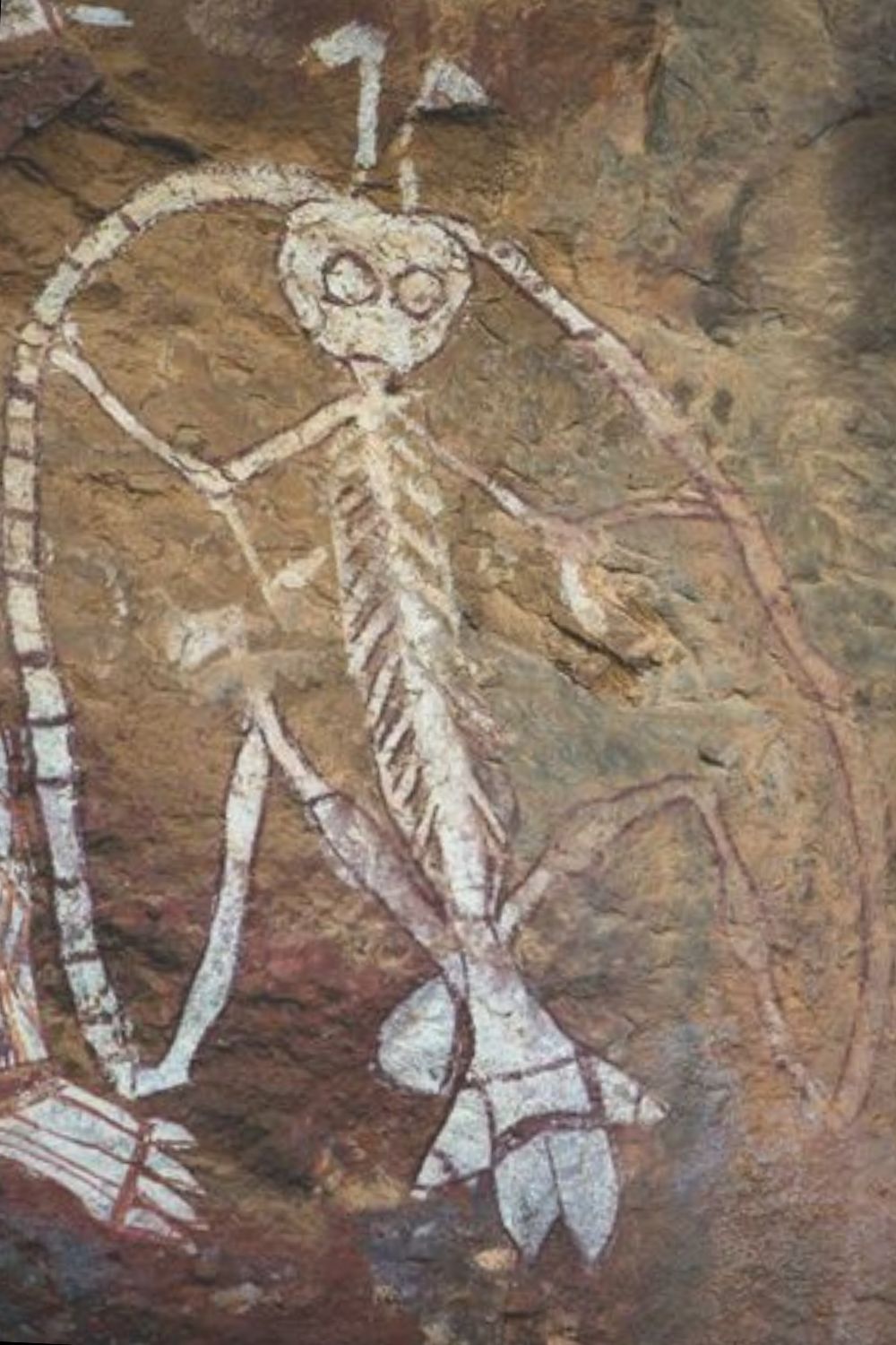 Namarrkon painting in Arnhem Land Rock art