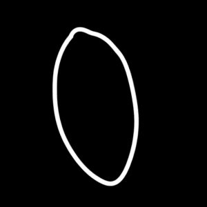 Traditional Aboriginal art symbol representing a coolamon shown as an elongated oval carrying vessel used for food, water and children.