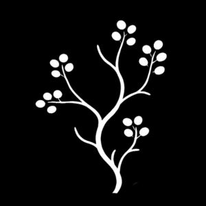 Traditional Aboriginal art symbol representing a wild orange plant shown as branching stems with clusters of rounded fruit.