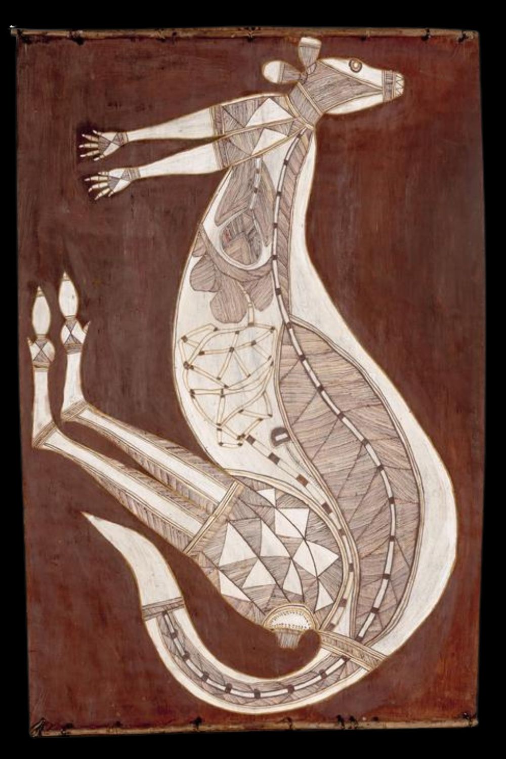 Aboriginal X Ray Style