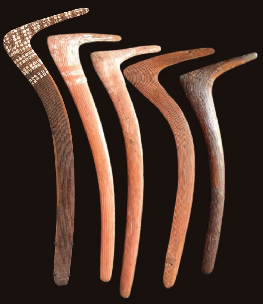 five antique aboriginal boomerangs from central australia used in tribal fighting also called swan neck boomerangs or number 7 boomerangs