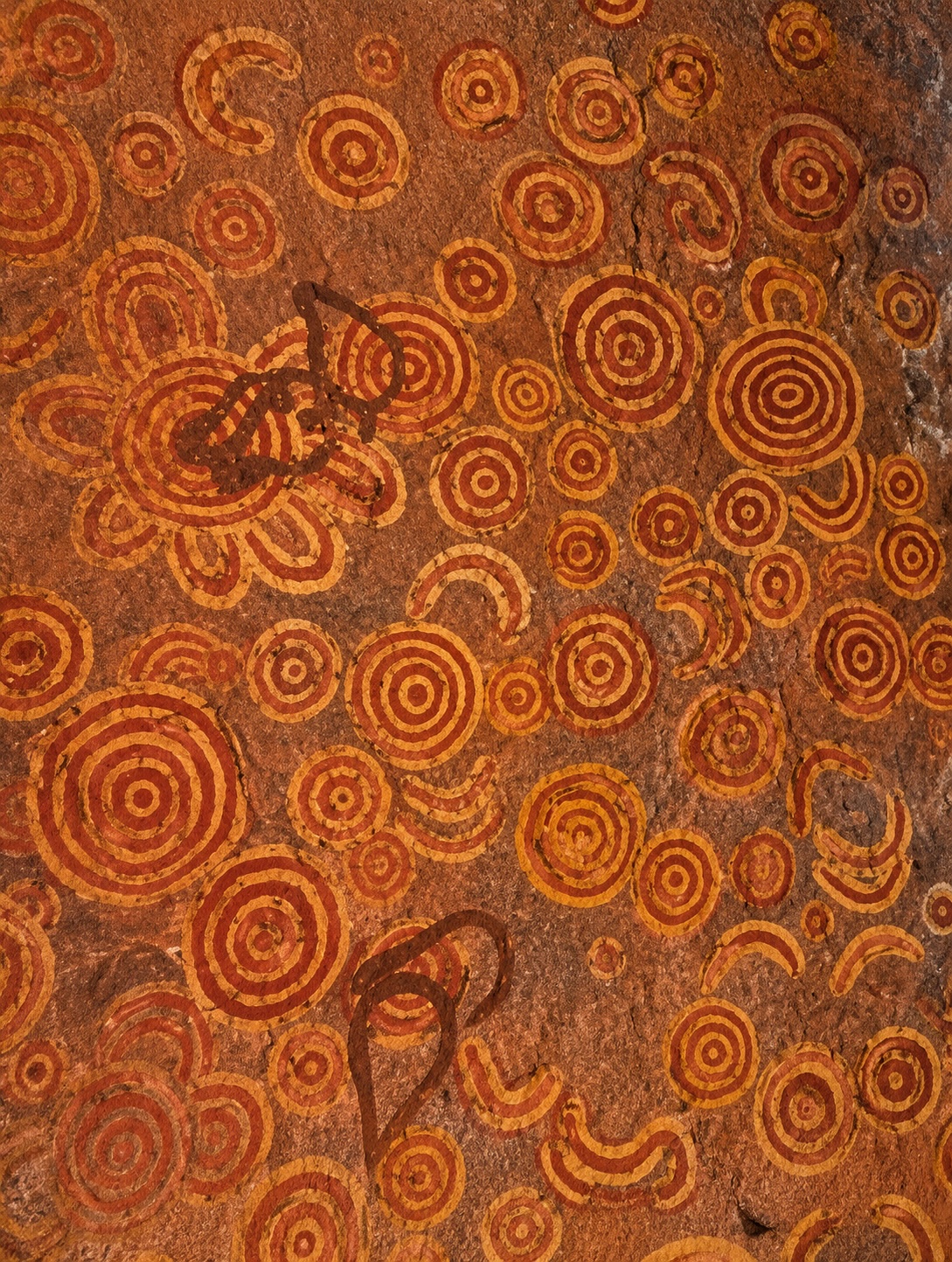 Central Australian Aboriginal rock art featuring dense concentric circle motifs painted in red and yellow ochres across a sandstone rock surface. The ceremonial imagery is associated with Dreaming tracks, sacred sites, and ancient symbolic traditions of the desert interior.
