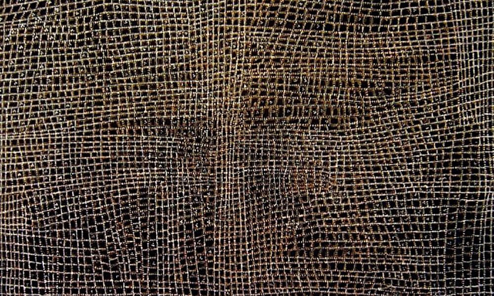 Intricate Warlpiri dot painting by Dorothy Napangardi depicting the Karntakurlangu Dreaming through fine white linework across a black background.