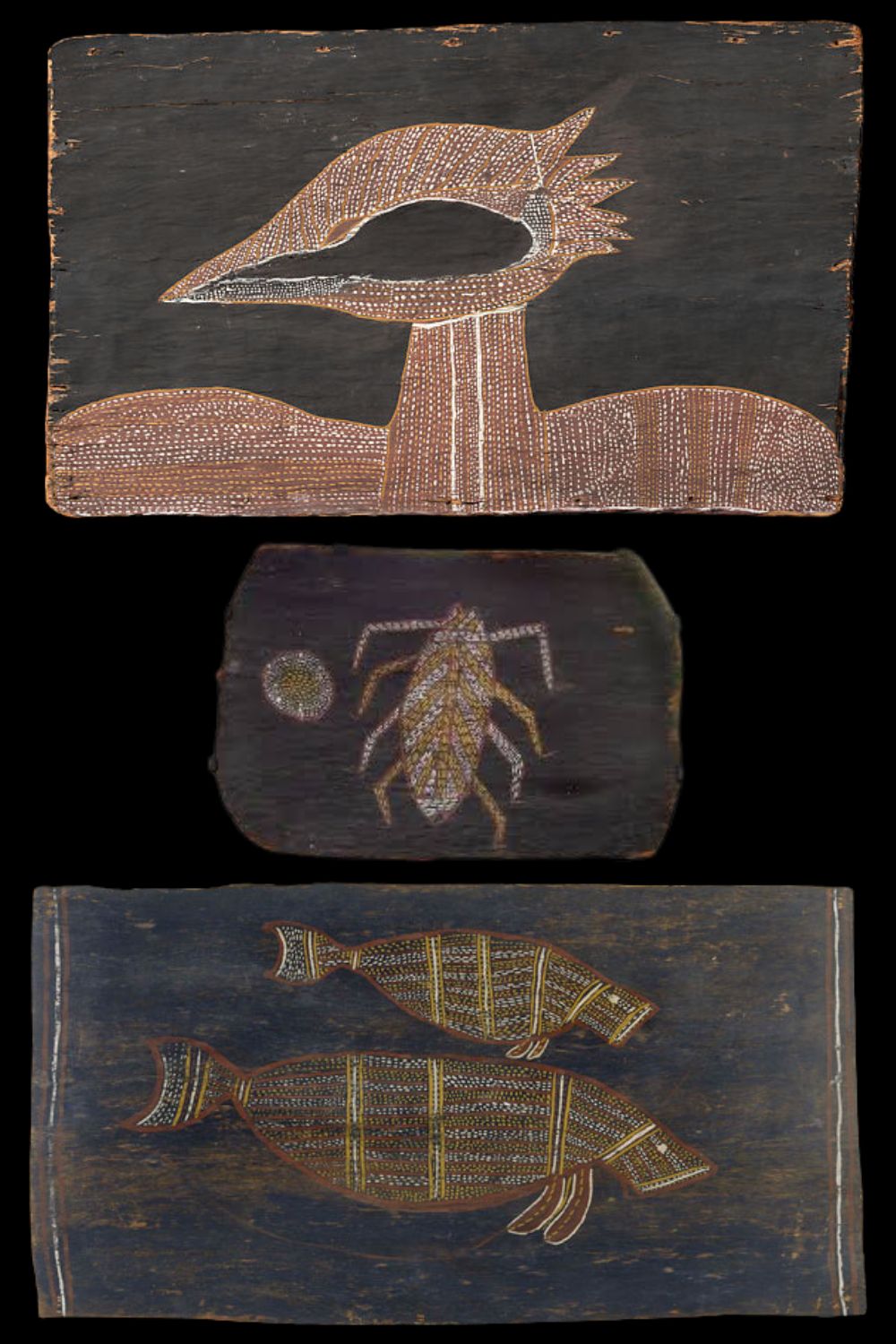 Early Groote Eylandt bark paintings depicting shell, insect and fish totems on black backgrounds with traditional Anindilyakwa dotted infill