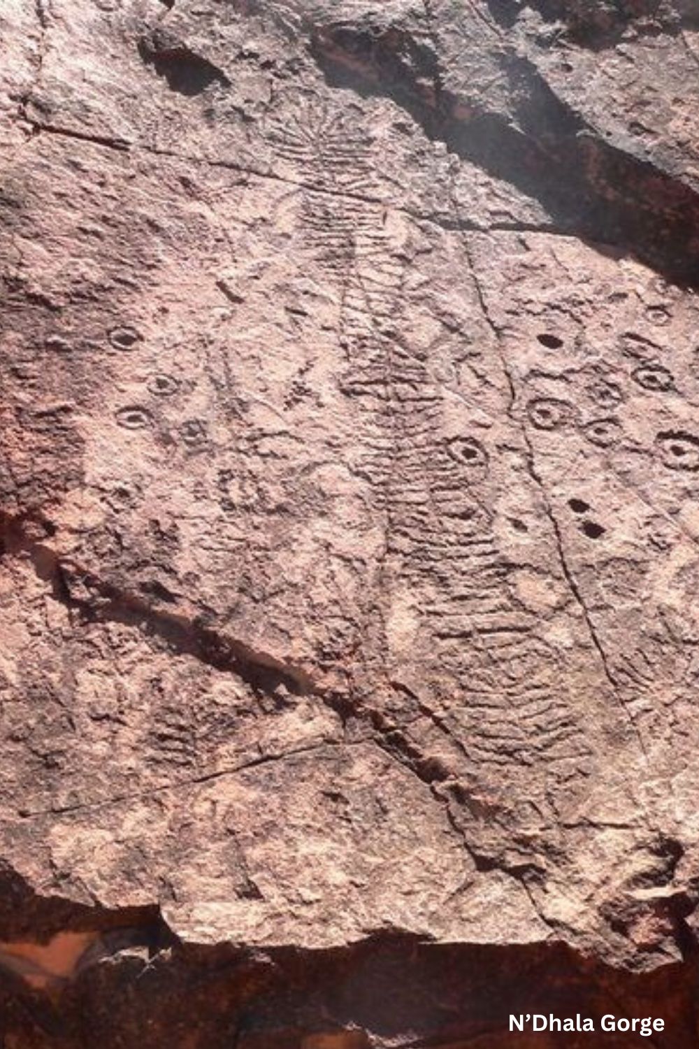 Ancient Aboriginal petroglyphs at N’Dhala Gorge in Central Australia showing engraved tracks, concentric circles, and geometric ceremonial motifs carved into exposed sandston