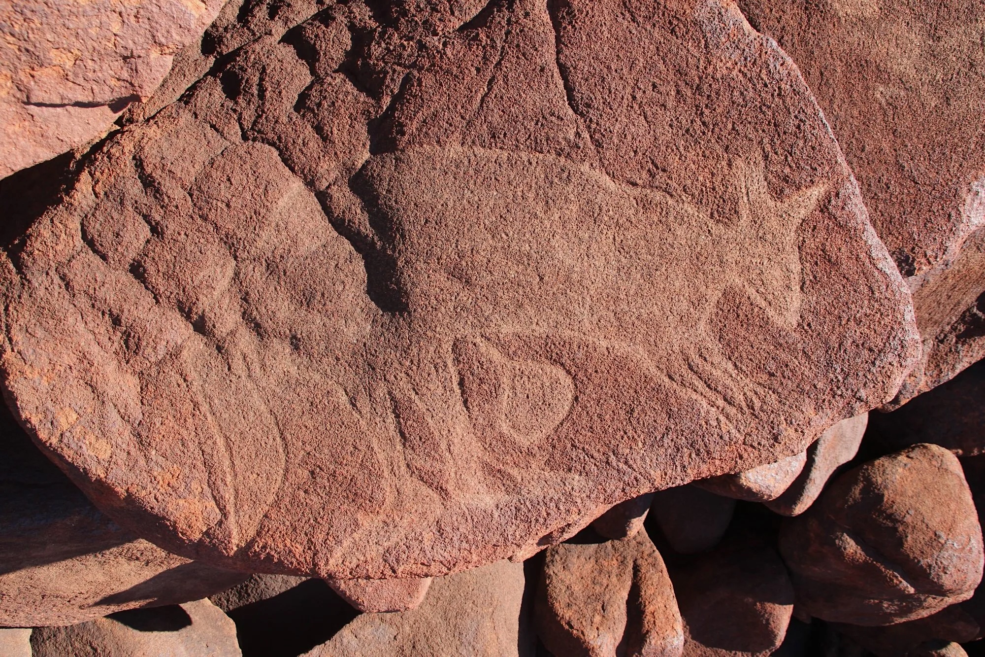 Ancient Murujuga petroglyph interpreted as extinct megafauna engraved into volcanic rock on the Burrup Peninsula in Western Australia.