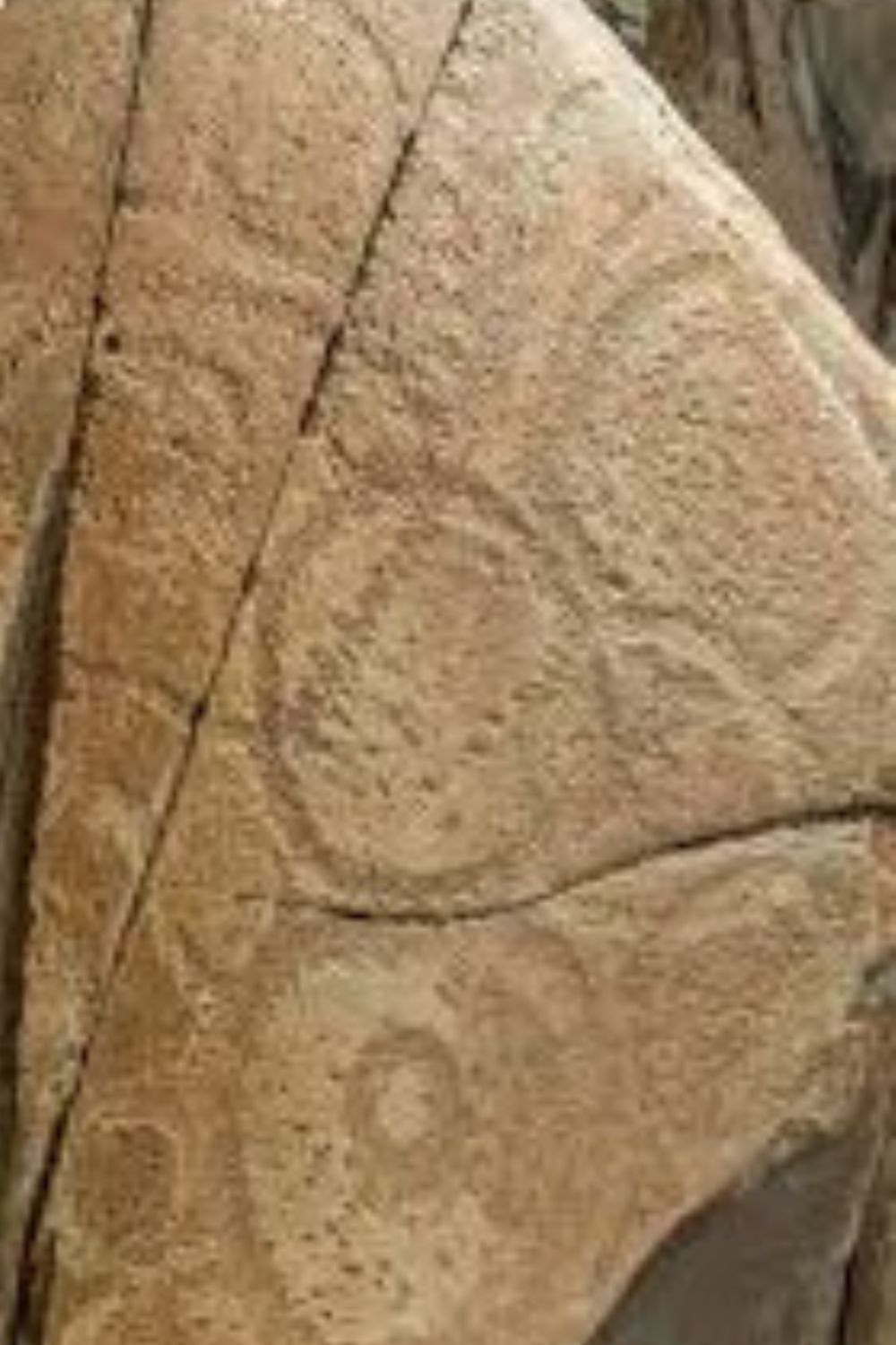 Ancient Tasmanian Aboriginal rock engravings featuring concentric circle motifs carved into sandstone rock surfaces.