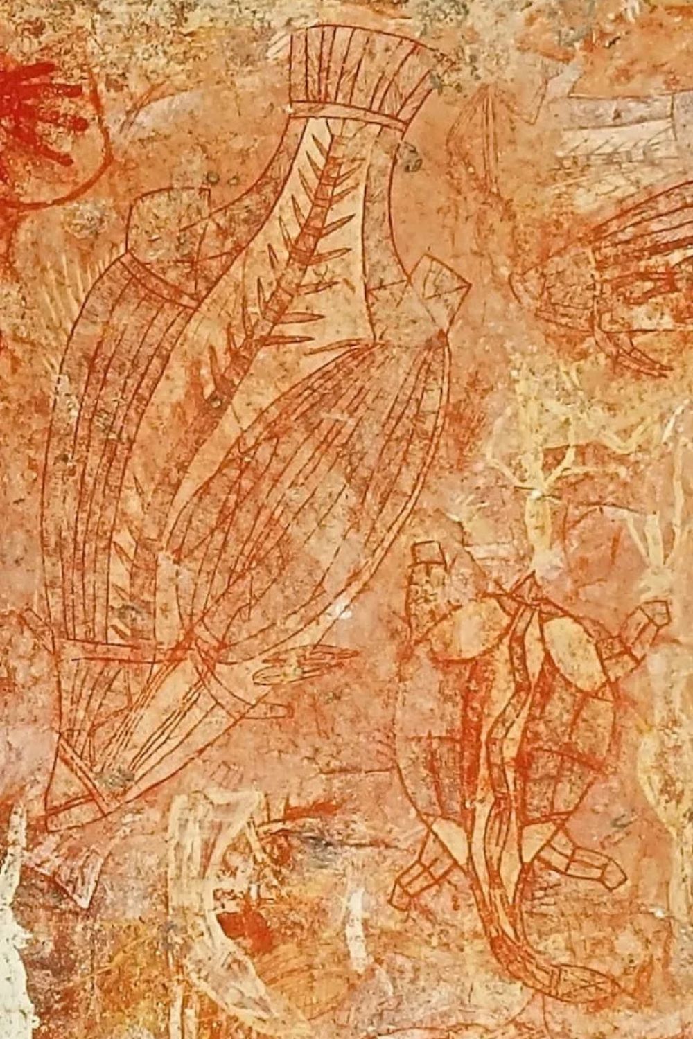 Aboriginal X-ray rock painting from Arnhem Land showing fish and human figures with internal anatomical detail painted in red ochre