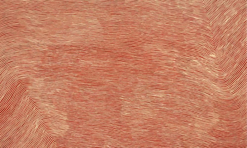 George Tjungurrayi Pintupi Tingari painting with fine linear patterning and optical movement
