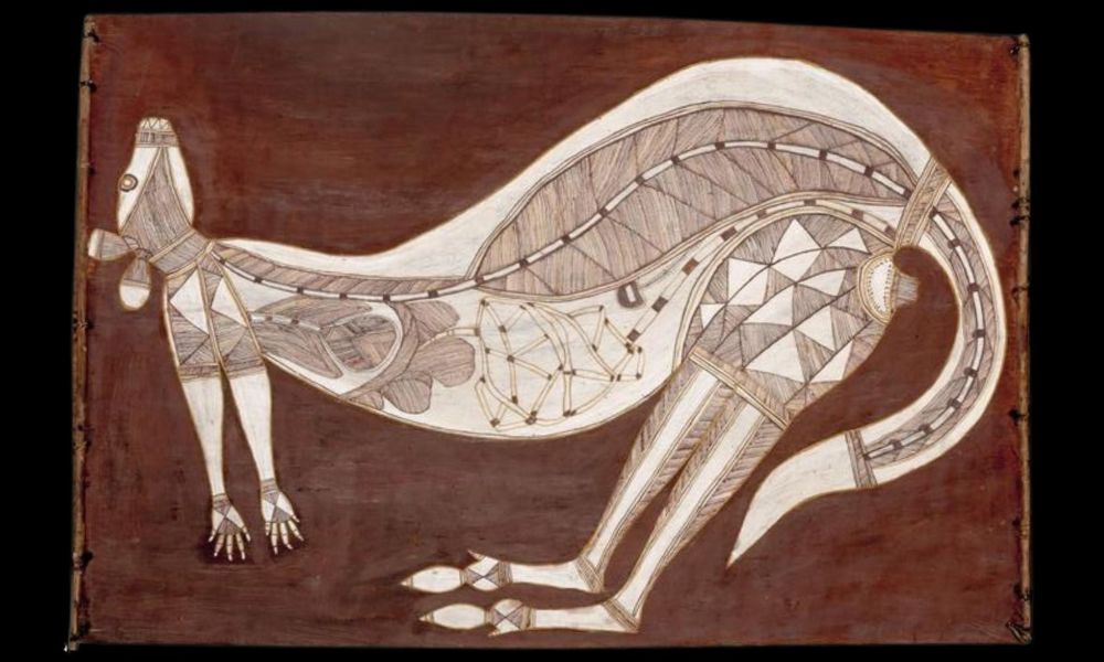Traditional Oenpelli X-ray kangaroo bark painting showing internal ceremonial designs for comparison with Papunya Western Desert Art styles