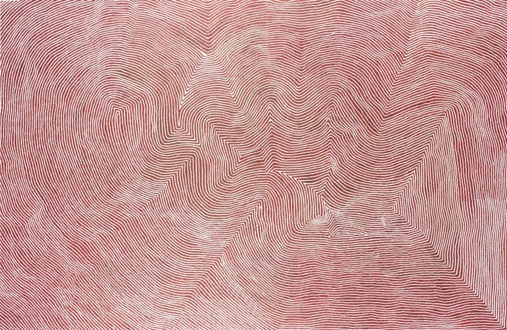 Warlimpirrnga Tjapaltjarri Grandfathers Country 2017