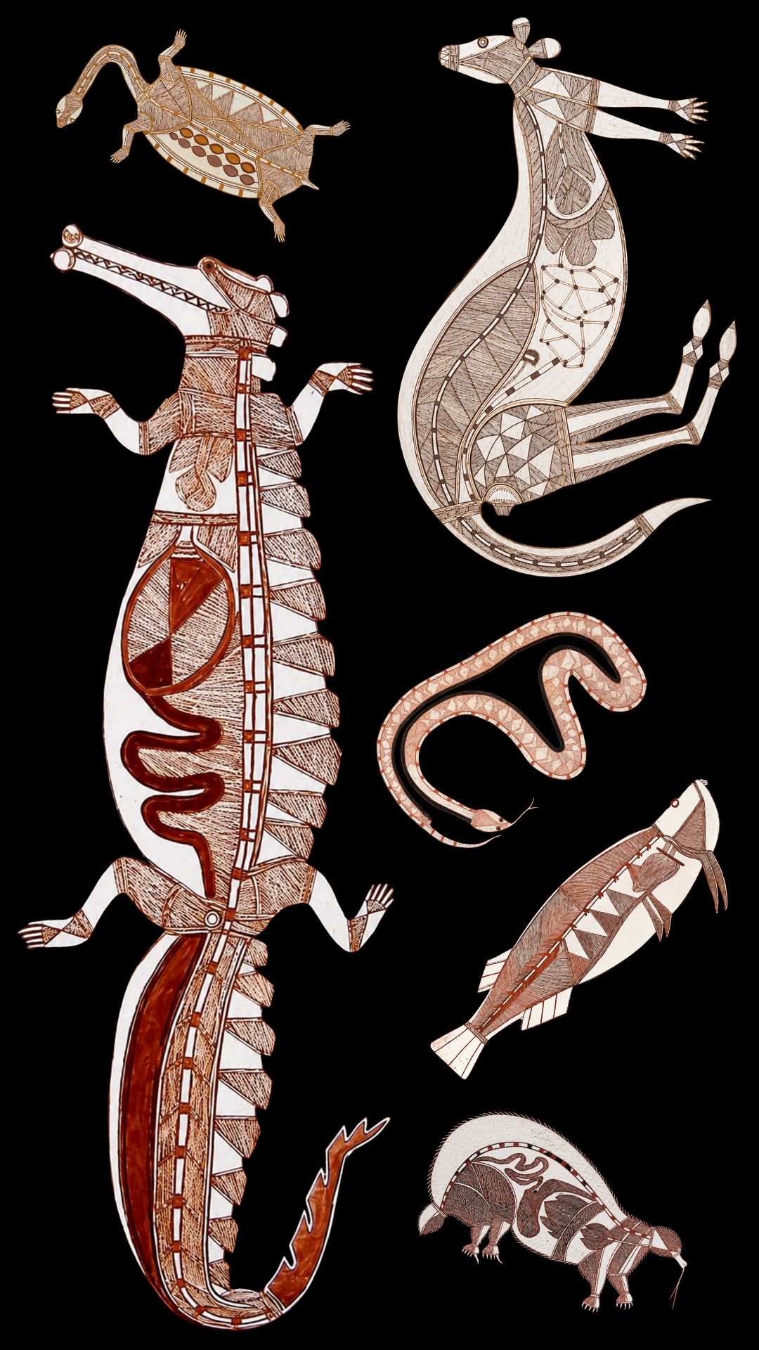 Aboriginal animals in art including kangaroo, crocodile, snake, turtle, echidna and barramundi in Arnhem Land bark painting style