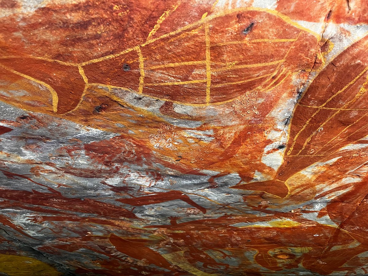 Ancient Groote Eylandt rock art showing marine animals painted in yellow ochre on a sandstone shelter ceiling