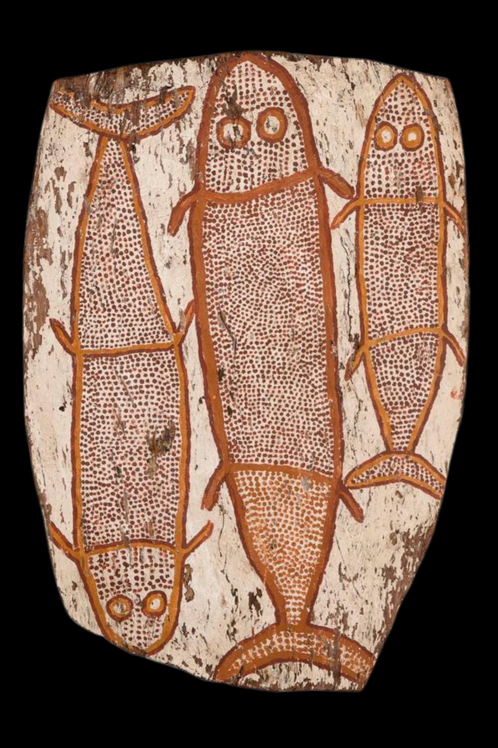 Aboriginal bark painting of catfish by Mickey Bungkuni from Central Arnhem Land