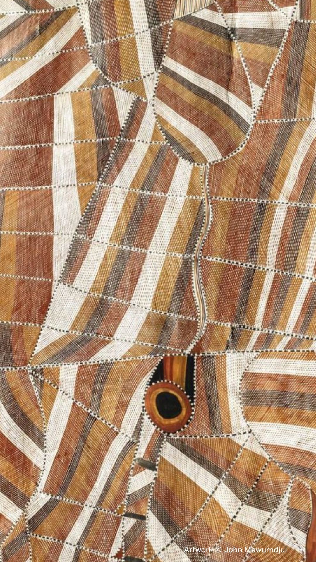 Detail of intricate rarrk crosshatching by John Mawurndjul showing sacred geometric patterns associated with Mardayin ceremony, ancestral power, and Kuninjku cosmology in Western Arnhem Land bark painting.