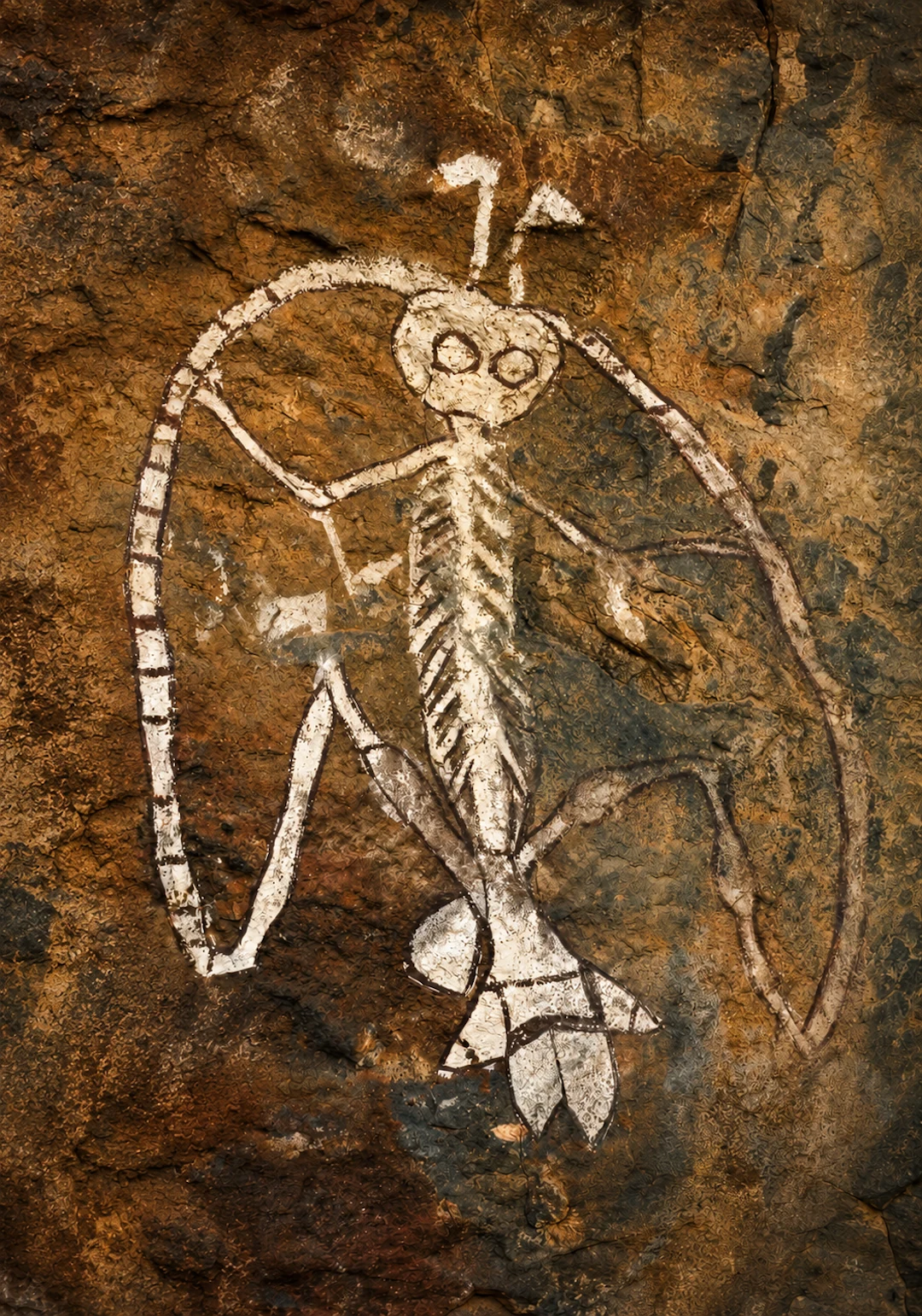 Aboriginal rock art image of Namarrkon the Lightning Spirit from western Arnhem Land