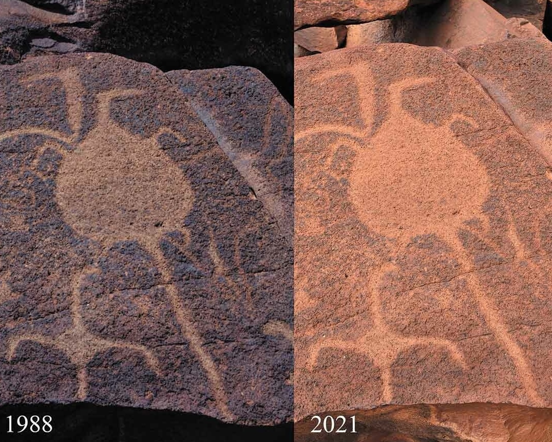 Comparison photographs from 1988 and 2021 showing deterioration of a Murujuga petroglyph on the Burrup Peninsula in Western Australia.