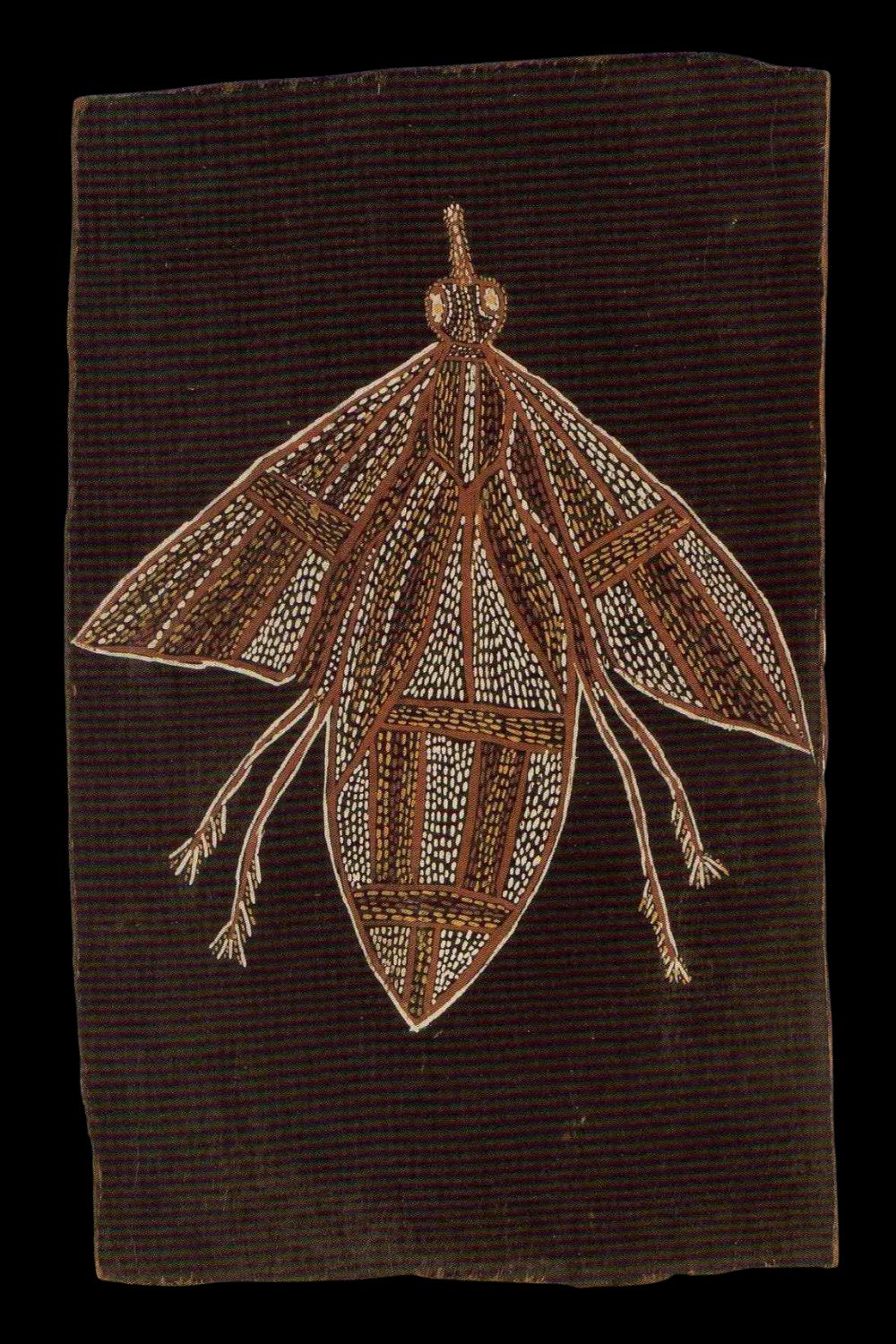 Groote Eylandt bark painting depicting a stylised totemic insect on a black background with traditional Anindilyakwa dotted infill.