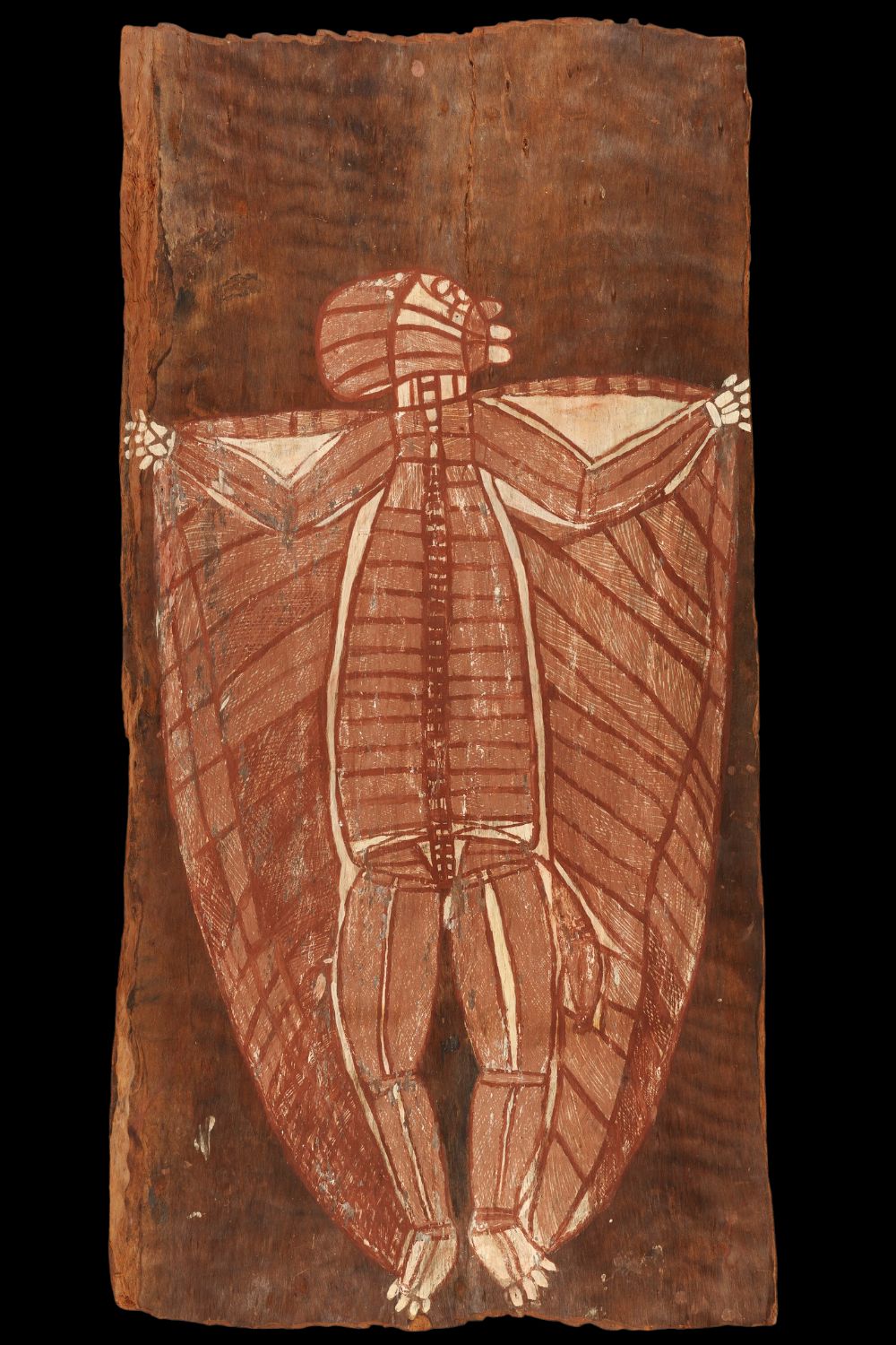 Aboriginal bark painting from Arnhem Land depicting an ancestral figure in X-ray style, collected during Baldwin Spencer's 1918 expedition.