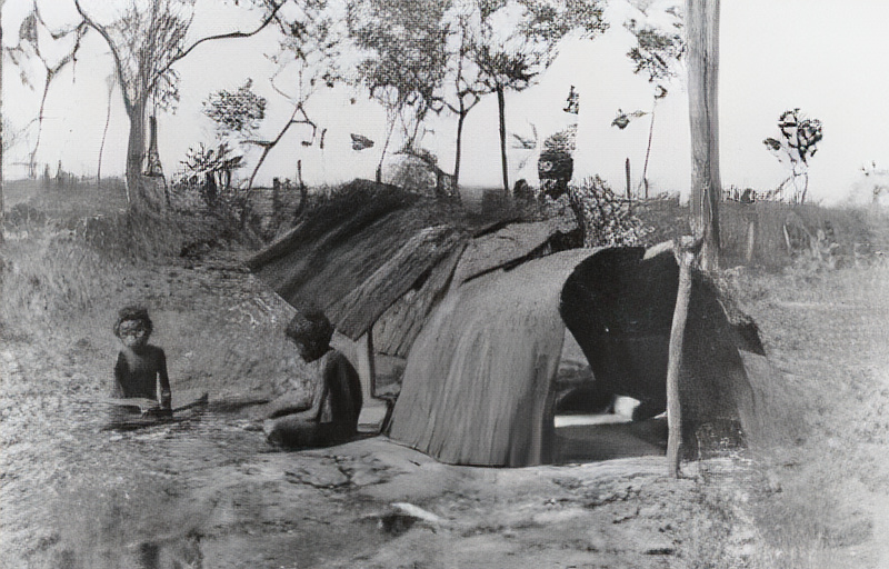 Historic Aboriginal bark shelter constructed from sheets of eucalyptus bark in northern Australia, illustrating the traditional use of bark for shelter and painting surfaces.