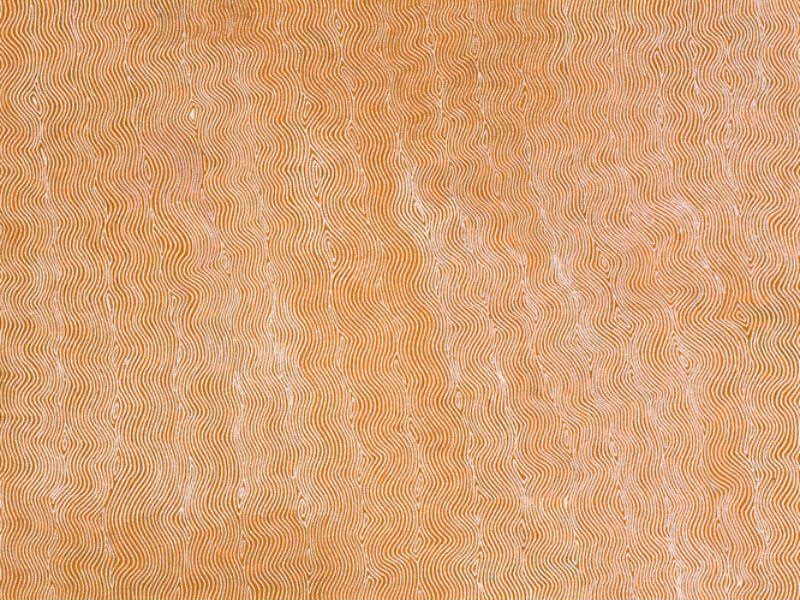 Ngulkingnapalka, the Claypan Site of Lake Mackay by Warlimpirrnga Tjapaltjarri, 2001. A monumental painting in soft golden ochre, cream and pale white. Thousands of tiny dots form delicate vertical bands that gently ripple from top to bottom across the entire canvas. The flowing lines weave around small diamond-shaped openings, creating a luminous shimmering surface that resembles sunlight reflecting across a vast claypan or wind moving over the desert.