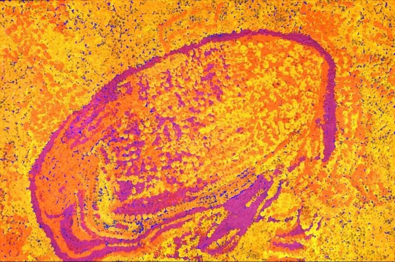 Pirupa Alka (2011) by Tommy Watson, synthetic polymer paint on Belgian linen featuring a luminous orange and yellow field surrounding a central magenta abstract form representing Western Desert Country.