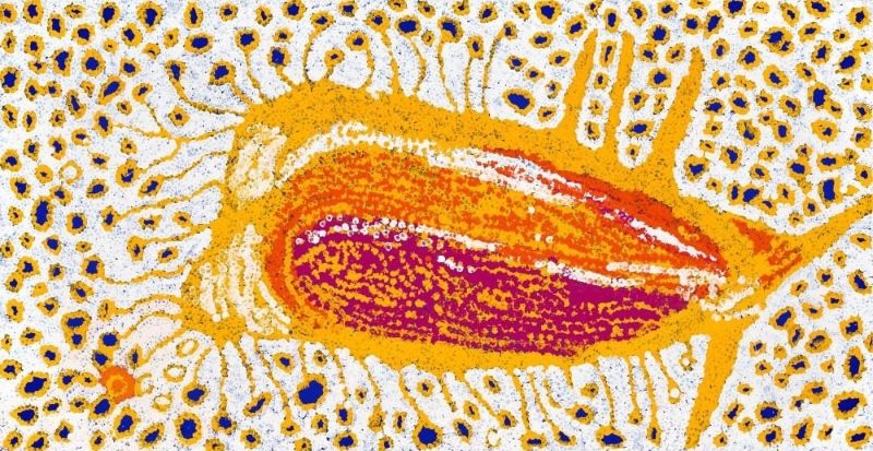 Kapi Piti Tjuta (2009) by Tommy Watson, acrylic on canvas featuring a radiant ochre, orange and magenta central form surrounded by white, blue and ochre dotted fields representing many water places.