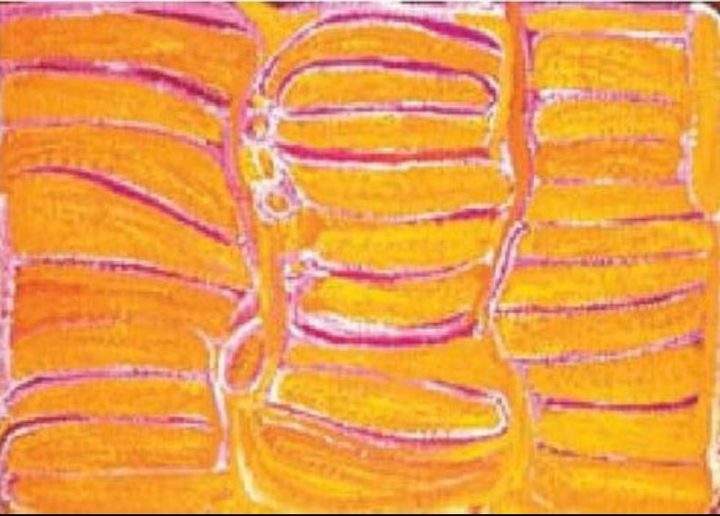 Untitled by Eubena Nampitjin showing glowing yellow and orange sandhill forms with linked soakwaters outlined in pink and white in the Balgo painting style.