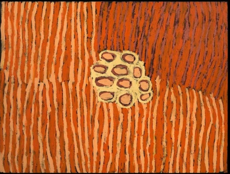 Sandhills at Tali by Makinti Napanangka, 2005, acrylic on linen, 122 × 92 cm.