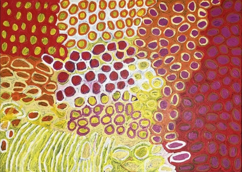 Desert Finches Looking for Seed by Makinti Napanangka, 2004, acrylic on linen, 127 × 90 cm.