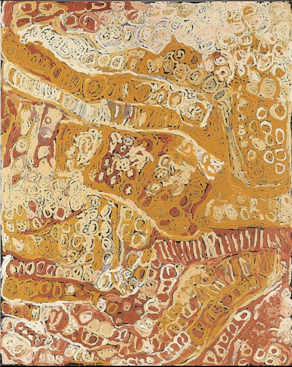 Women's Dreaming painting by Makinti Napanangka featuring looping ochre forms, concentric motifs and expressive brushwork inspired by Pintupi women's ceremony.