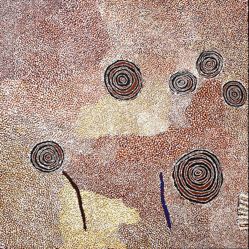 Rockholes and Country Near the Olgas 2007 by Bill Whiskey Tjapaltjarri, with concentric rockholes surrounded by dense fields of desert-coloured dots.
