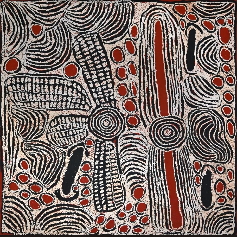 Square red, black and white Aboriginal painting by Ningura Napurrula densely filled with concentric circles, elongated oval forms, curved bands and grid-like patterns. Two large vertical forms with red centres dominate the right half, while smaller red and black ovals and fields of closely spaced white lines cover the surrounding canvas.