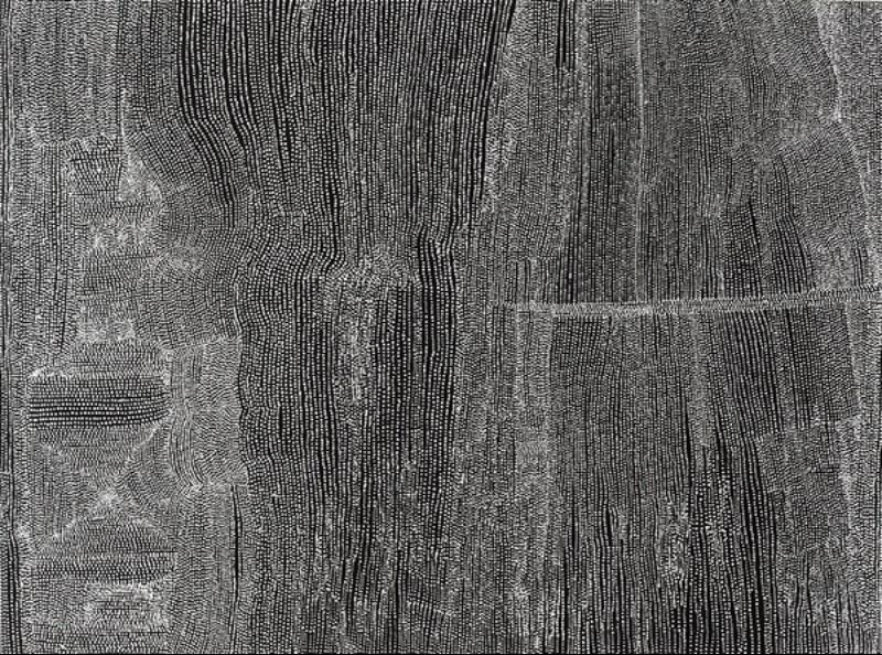 Abstract painting of thousands of tiny black and white dots. Dense vertical bands rise through the composition while lighter horizontal dotted pathways cross the surface, creating a layered pattern that resembles shimmering salt plains viewed from above.
