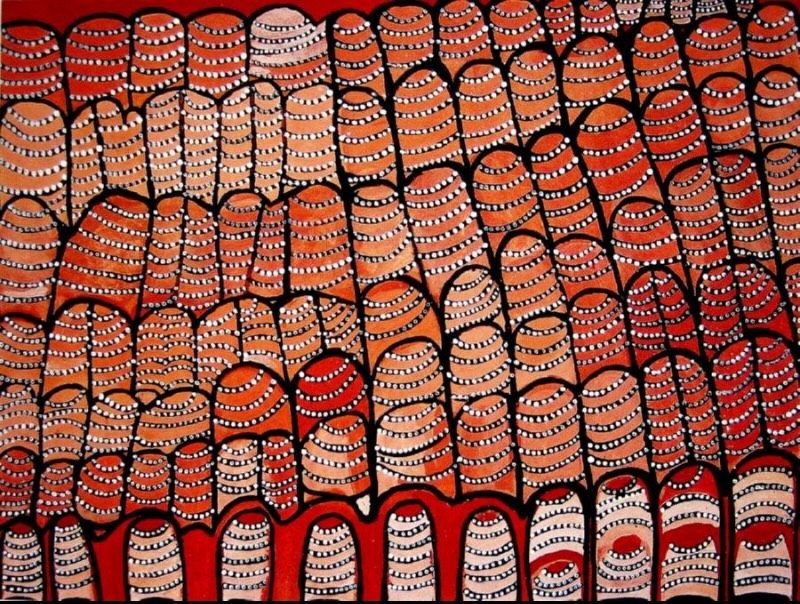 Gwali-Waali, 1996 by Jack Britten, natural earth pigments on canvas