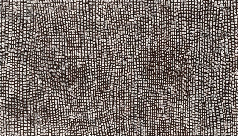 Dorothy Napangardi Karntakurlangu 1999 acrylic on linen featuring a dense field of finely dotted white grids representing the Women's Dreaming at Mina Mina.