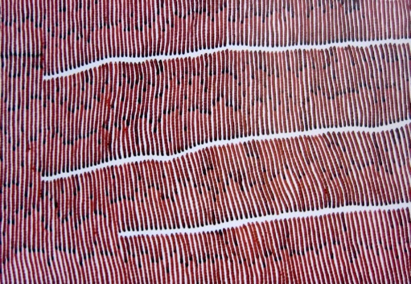 Ronnie Tjampitjinpa Water Dreaming 2002 painting, with dense white vertical lines over a red and black ground crossed by broad curving white bands