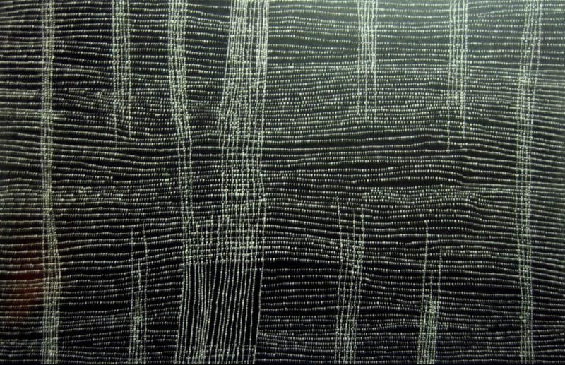 Dorothy Napangardi Salt Crystals of Mina Mina 2002 acrylic on linen featuring luminous white dotted bands across a black ground representing the salt crystals and claypans of Mina Mina.