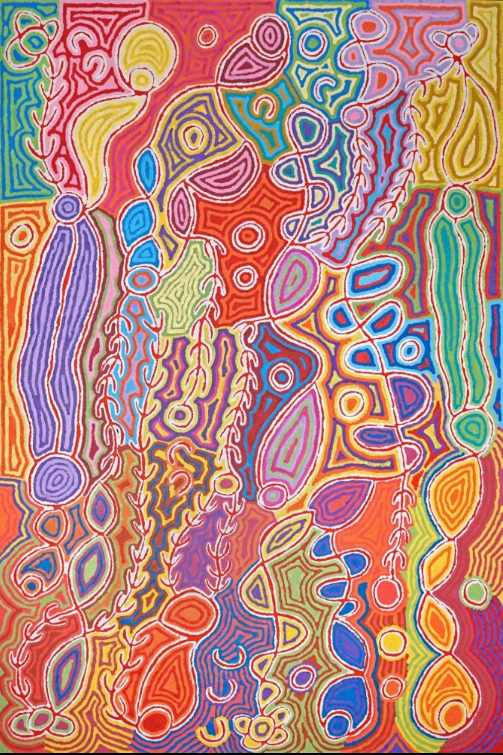 Colourful Judy Watson Napangardi painting filled with interlocking red, orange, yellow, blue, green and purple forms, flowing lines and repeated circular motifs.