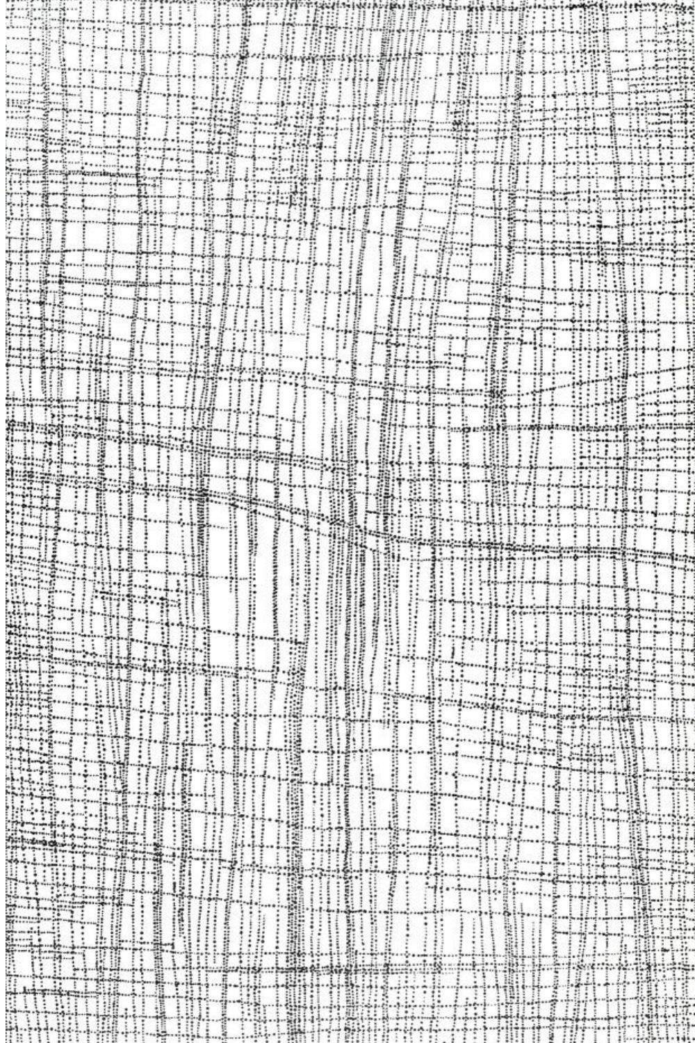 Close-up detail of a Dorothy Napangardi painting showing delicate black dotted grids on a white background inspired by Mina Mina on Warlpiri Country.