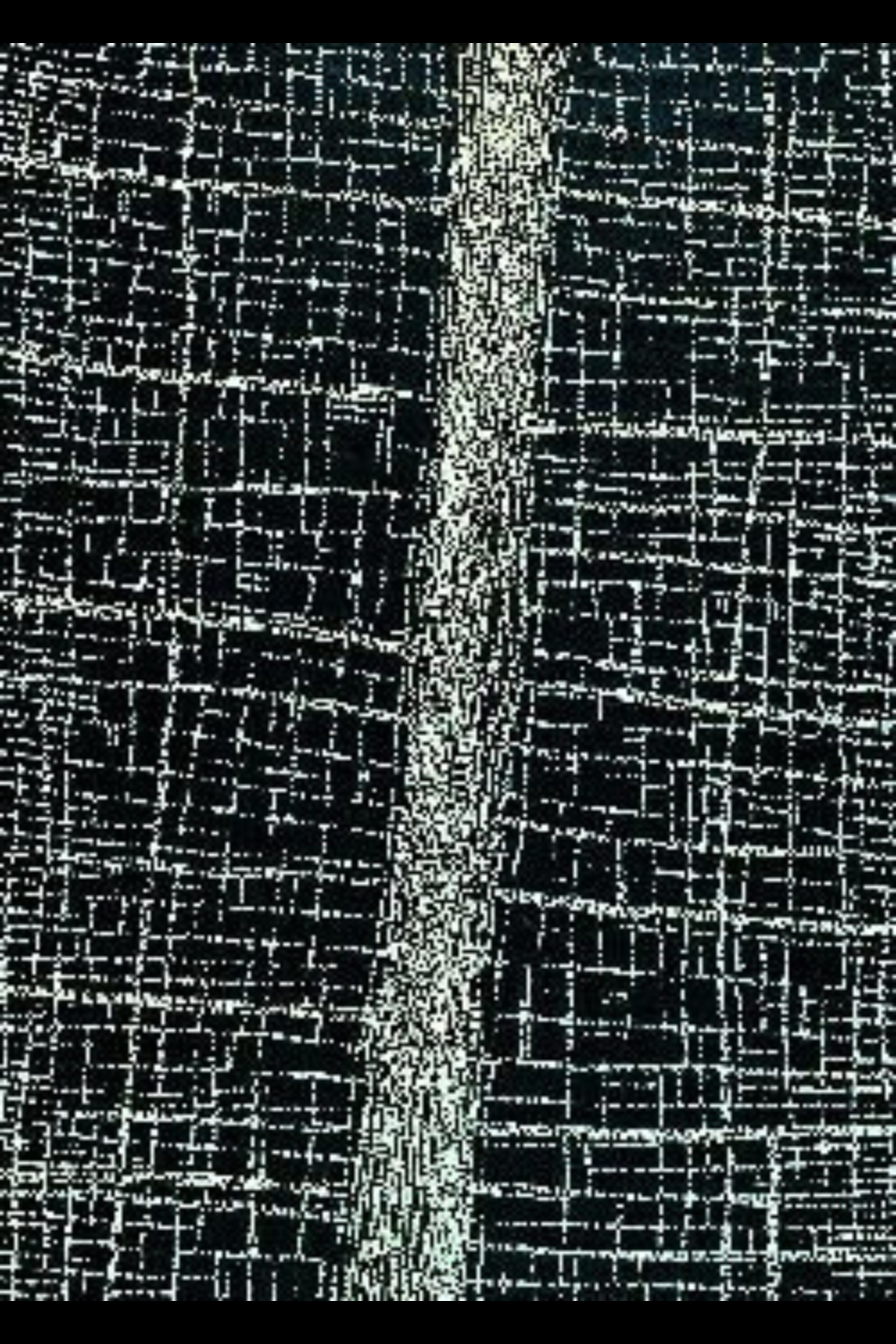 Dorothy Napangardi painting with fine white dotted lines forming a dense irregular grid across a black ground, divided by a concentrated vertical band of white marks through the centre.