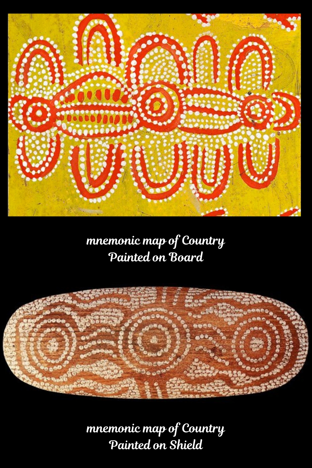 Early Pintupi painting on board compared with a painted Western Desert shield using circles, connecting lines and related ancestral Country motifs.