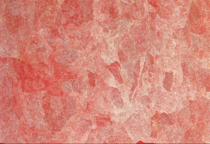 Bush Plum Country painting by Angelina Pwerle, with thousands of minute pale dots forming dense, overlapping patterns across a warm red and pink ground.