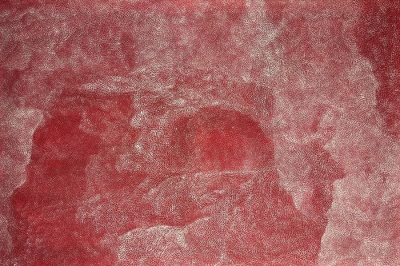 Bush Plum painting by Angelina Pwerle, with thousands of minute pale dots forming dense, irregular shapes and flowing areas across a deep red ground.