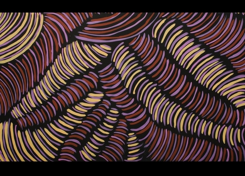 Painting by Gloria Petyarre filled with flowing clusters of short curved strokes in yellow, purple, red and pink against a black ground.