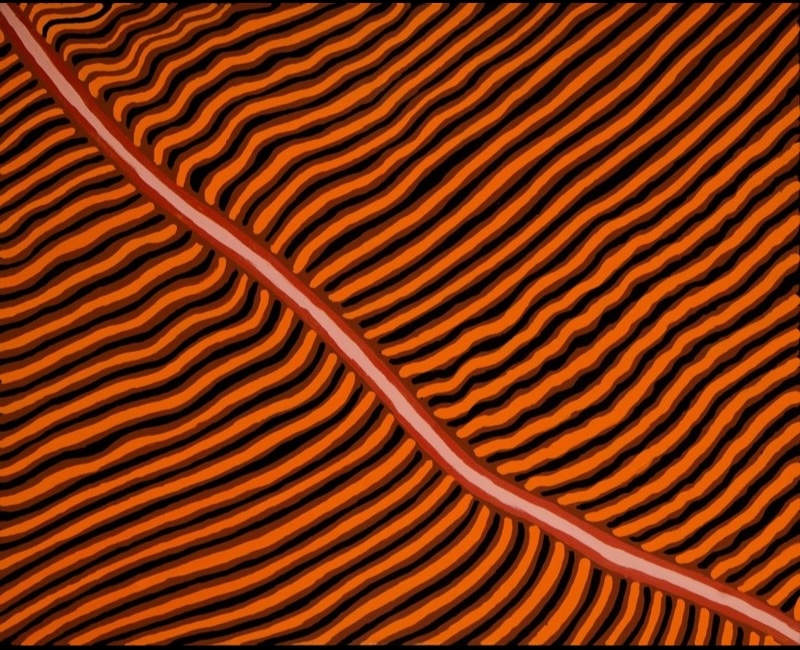 Painting by Gloria Petyarre with closely spaced wavy orange lines flowing across a black ground and divided diagonally by a broad curved red and pink band.